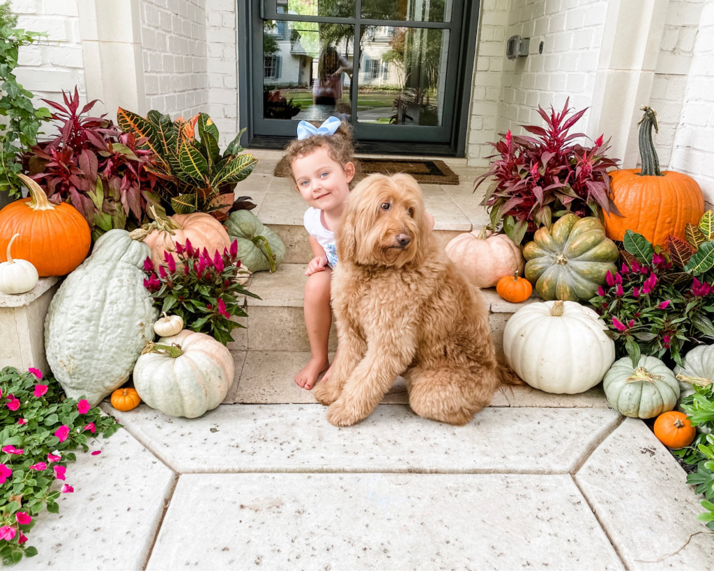 Fall Front Porch