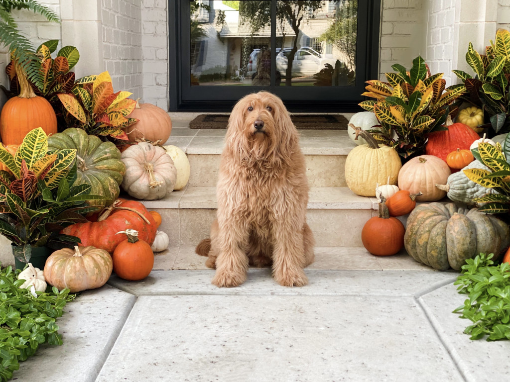 Fall Front Porch